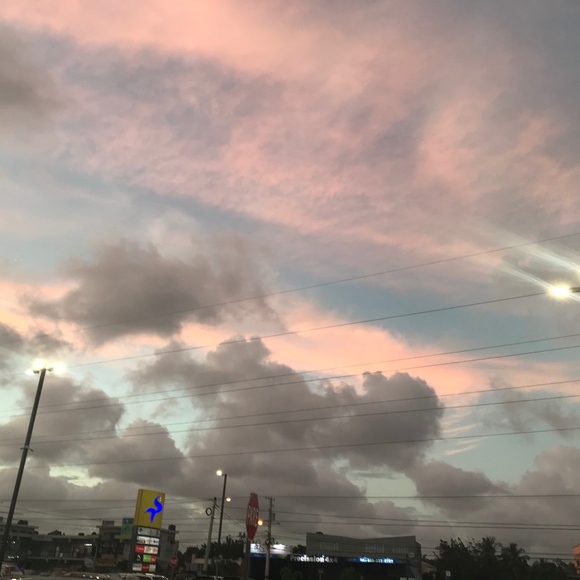 Meet your Posher, Celeste - Picture 1 of 1